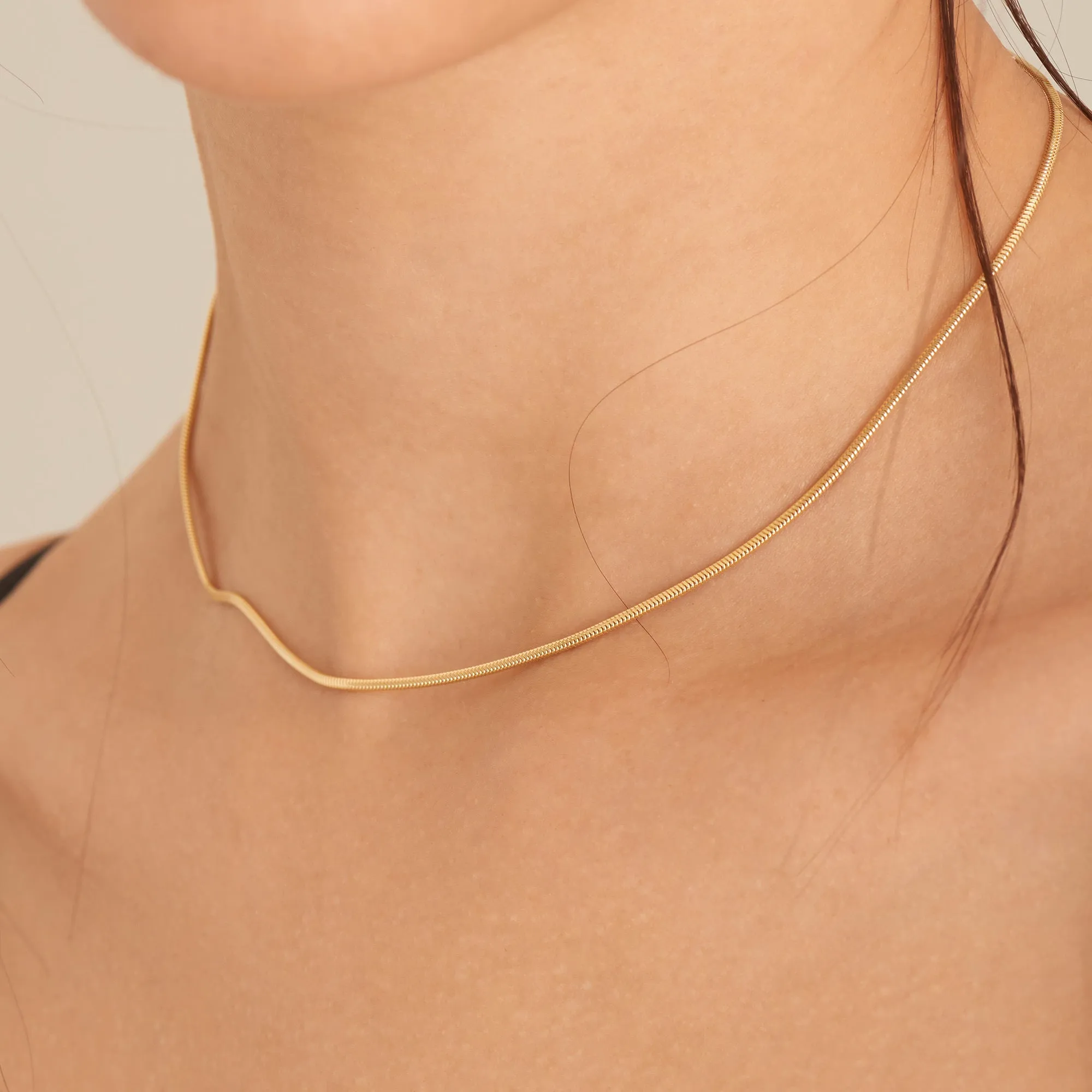 Ania Haie Gold Snake Chain Necklace