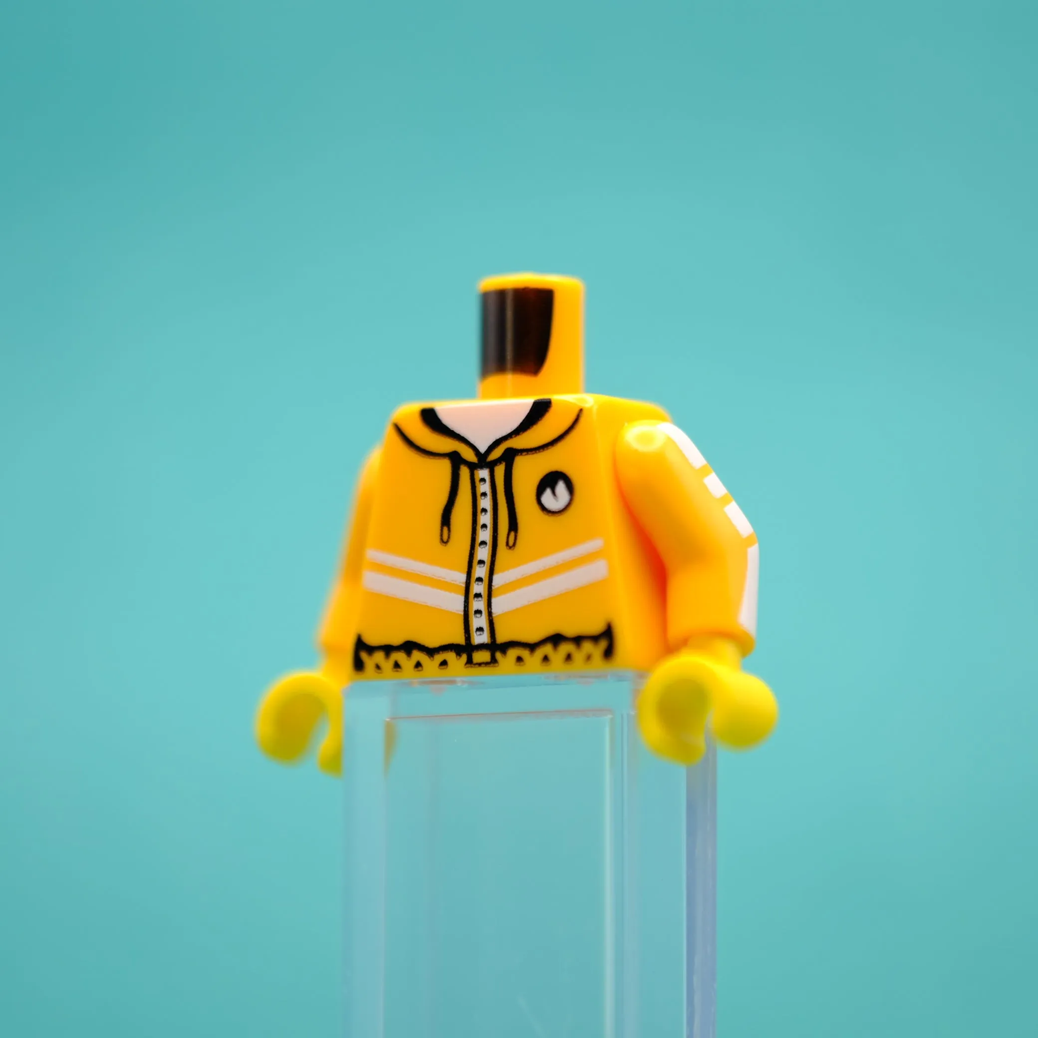 Windbreaker Torso